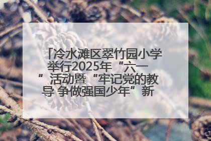 冷水滩区翠竹园小学举行2025年“六一”活动暨“牢记党的教导 争做强国少年”新队员入队仪式