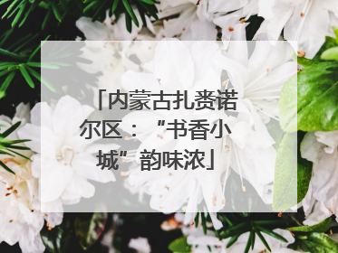 内蒙古扎赉诺尔区：“书香小城”韵味浓