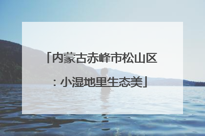 内蒙古赤峰市松山区：小湿地里生态美