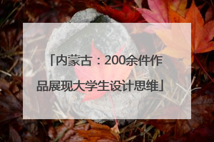 内蒙古：200余件作品展现大学生设计思维