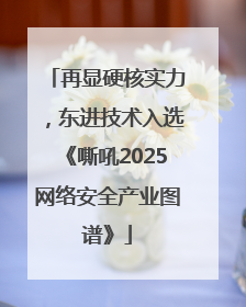 再显硬核实力，东进技术入选《嘶吼2025网络安全产业图谱》