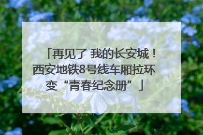 再见了 我的长安城！西安地铁8号线车厢拉环变“青春纪念册”