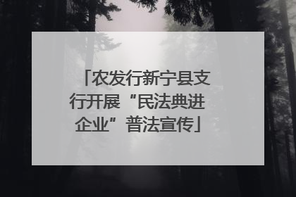 农发行新宁县支行开展“民法典进企业”普法宣传