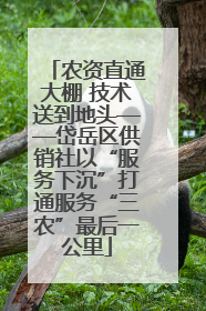 农资直通大棚 技术送到地头——岱岳区供销社以“服务下沉”打通服务“三农”最后一公里