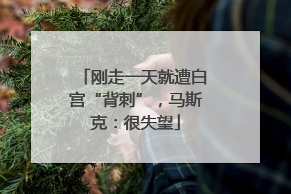 刚走一天就遭白宫“背刺”，马斯克：很失望