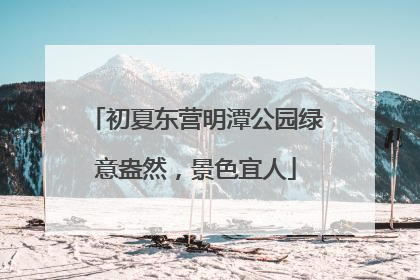 初夏东营明潭公园绿意盎然，景色宜人