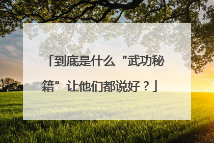 到底是什么“武功秘籍”让他们都说好？