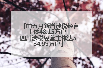前五月新增涉税经营主体48.15万户 四川涉税经营主体达534.99万户