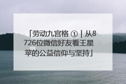 劳动九宫格 ①｜从8726位微信好友看王星苹的公益信仰与坚持