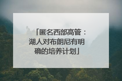 匿名西部高管：湖人对布朗尼有明确的培养计划
