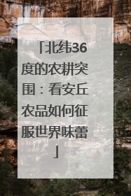 北纬36度的农耕突围：看安丘农品如何征服世界味蕾