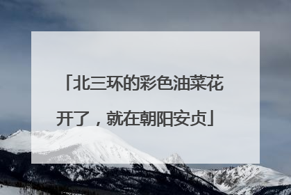 北三环的彩色油菜花开了，就在朝阳安贞