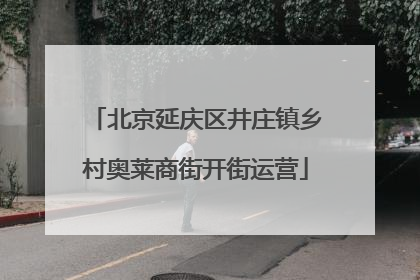北京延庆区井庄镇乡村奥莱商街开街运营