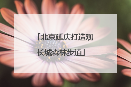 北京延庆打造观长城森林步道