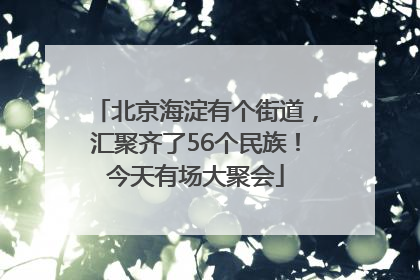 北京海淀有个街道，汇聚齐了56个民族！今天有场大聚会