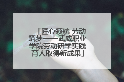 匠心领航 劳动筑梦——武威职业学院劳动研学实践育人取得新成果