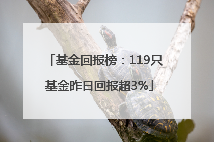 基金回报榜：119只基金昨日回报超3%