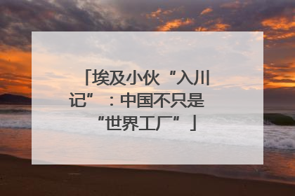 埃及小伙“入川记”：中国不只是“世界工厂”
