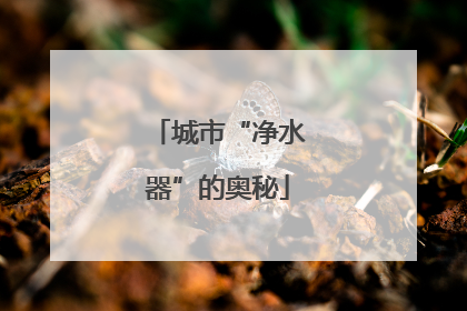 城市“净水器”的奥秘