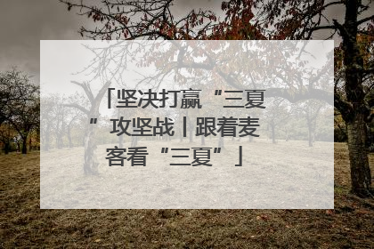 坚决打赢“三夏”攻坚战丨跟着麦客看“三夏”