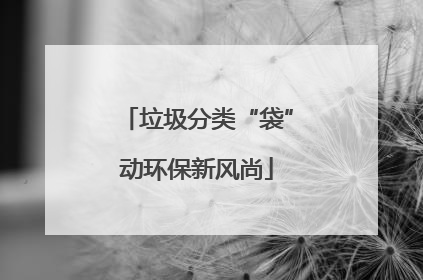 垃圾分类“袋”动环保新风尚