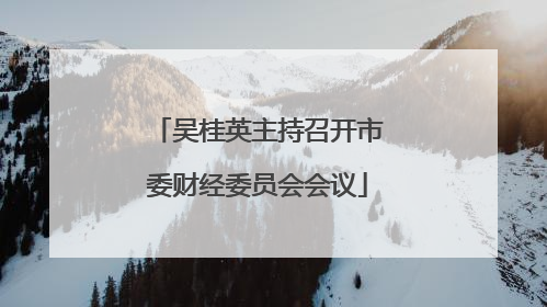 吴桂英主持召开市委财经委员会会议
