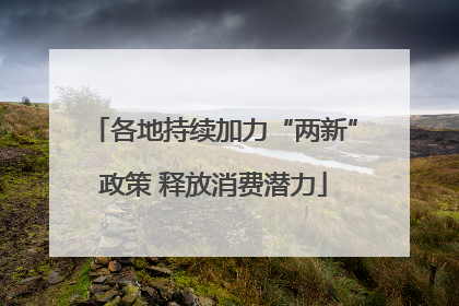 各地持续加力“两新”政策 释放消费潜力