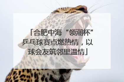 合肥中海“领潮杯”乒乓球赛点燃热情，以球会友筑邻里温情