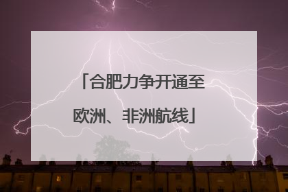 合肥力争开通至欧洲、非洲航线