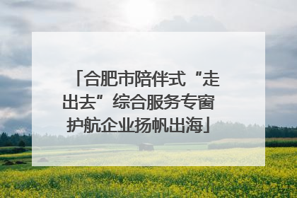 合肥市陪伴式“走出去”综合服务专窗护航企业扬帆出海