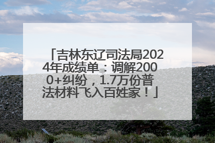 吉林东辽司法局2024年成绩单：调解2000+纠纷，1.7万份普法材料飞入百姓家！