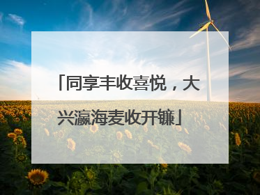 同享丰收喜悦，大兴瀛海麦收开镰