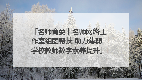 名师育娄丨名师网络工作室组团帮扶 助力薄弱学校教师数字素养提升