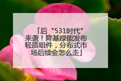 后“531时代”来袭！隆基绿能发布轻质组件，分布式市场后续会怎么走