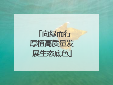向绿而行 厚植高质量发展生态底色