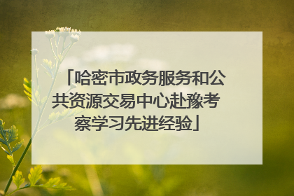哈密市政务服务和公共资源交易中心赴豫考察学习先进经验
