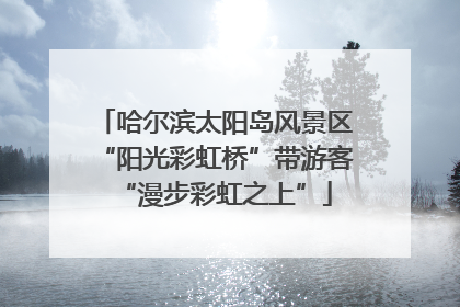 哈尔滨太阳岛风景区“阳光彩虹桥”带游客“漫步彩虹之上”