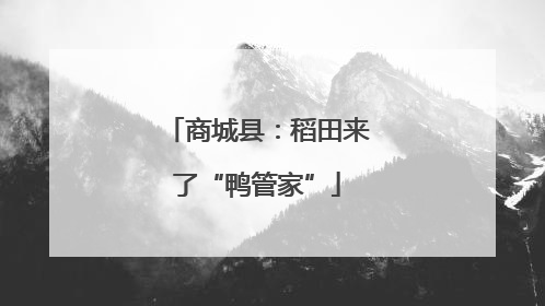 商城县：稻田来了“鸭管家”
