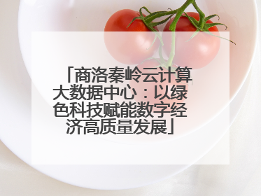 商洛秦岭云计算大数据中心：以绿色科技赋能数字经济高质量发展