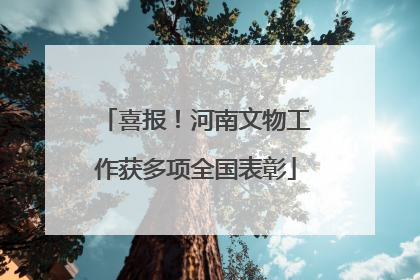 喜报！河南文物工作获多项全国表彰