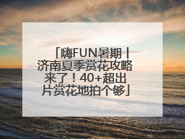 嗨FUN暑期丨济南夏季赏花攻略来了！40+超出片赏花地拍个够