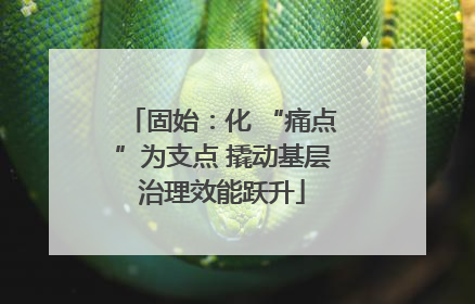 固始：化 “痛点”为支点 撬动基层治理效能跃升