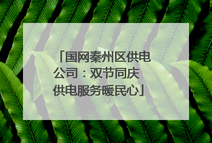 国网秦州区供电公司：双节同庆 供电服务暖民心