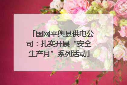 国网平舆县供电公司：扎实开展“安全生产月”系列活动