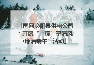 国网泌阳县供电公司：开展“‘粽’享清风 •廉洁端午”活动