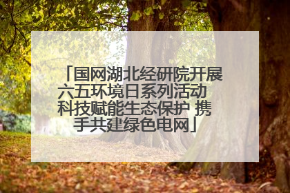 国网湖北经研院开展六五环境日系列活动 科技赋能生态保护 携手共建绿色电网