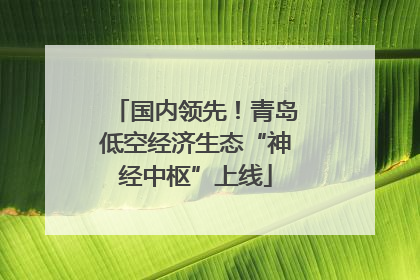 国内领先！青岛低空经济生态“神经中枢”上线