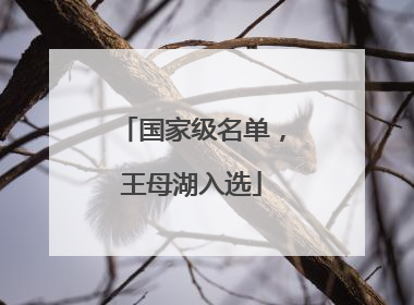 国家级名单，王母湖入选