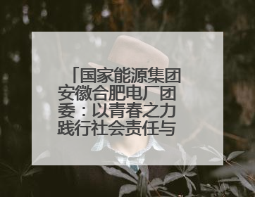 国家能源集团安徽合肥电厂团委：以青春之力践行社会责任与创新担当