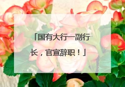 国有大行一副行长，官宣辞职！